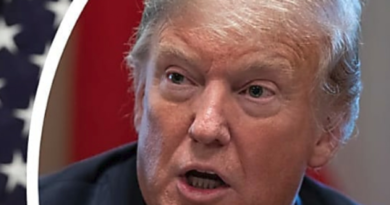 Líderes demócratas amenazan a Trump con cierre si insiste con muro Líderes demócratas amenazan a Trump con cierre si insiste con muro