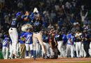 Tigres y Estrellas a la gran final de la Liga Dominicana de Béisbol